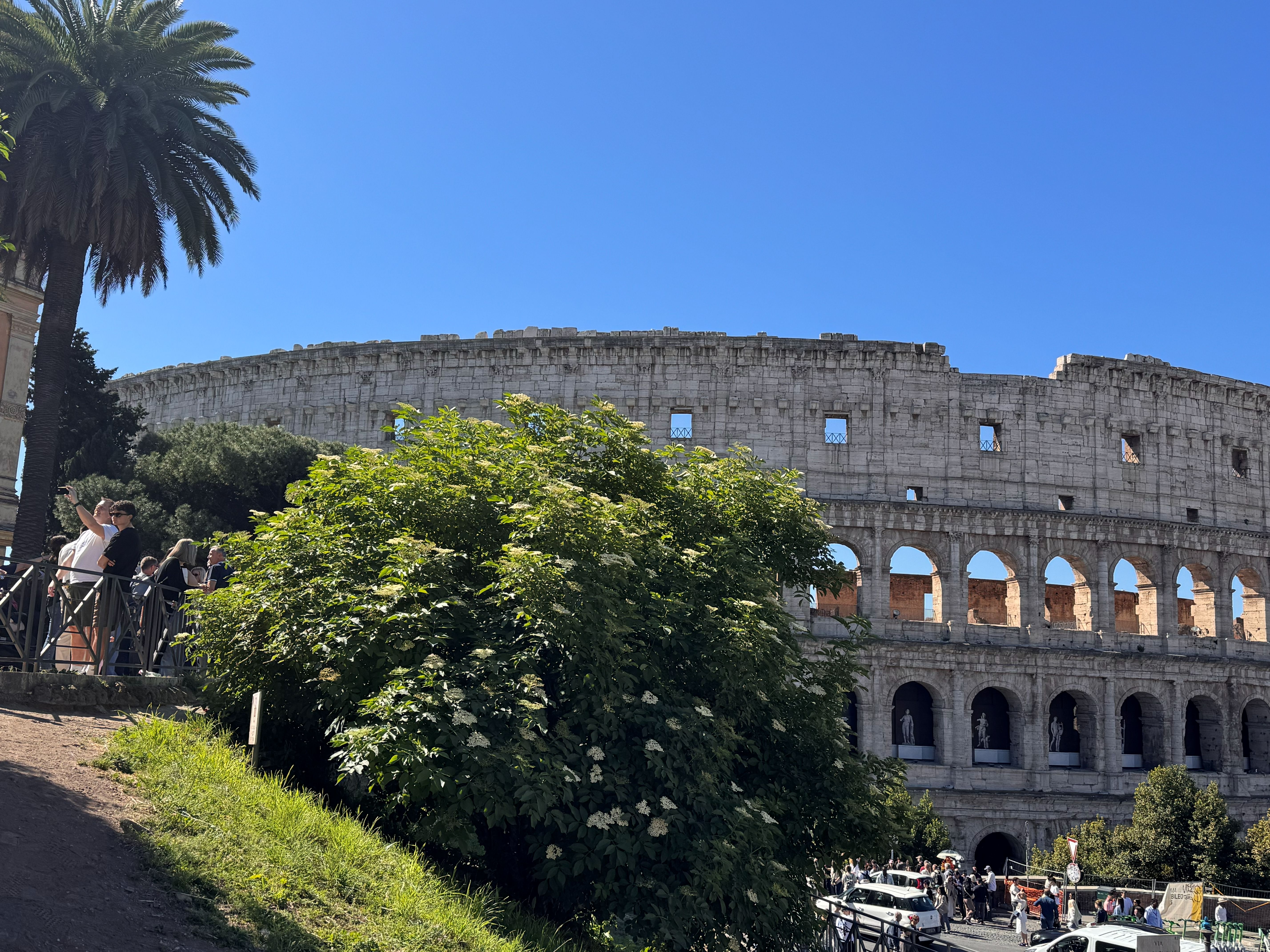 rome colloseum.jpg