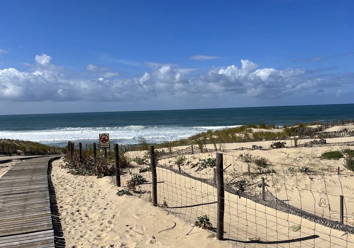 Cap Ferret.jpg
