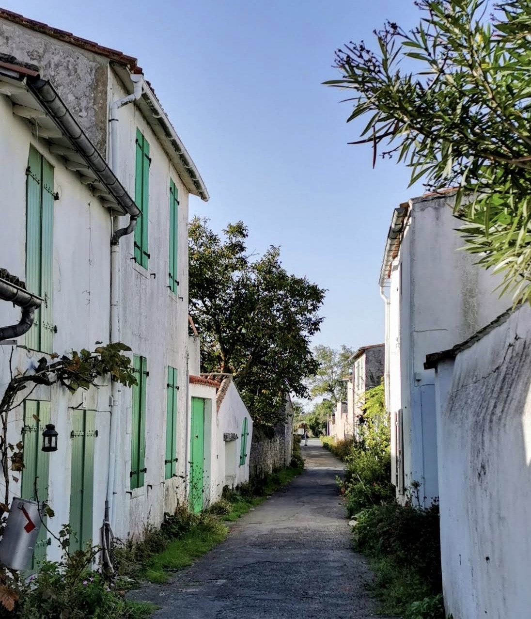 Ile de Re.jpg