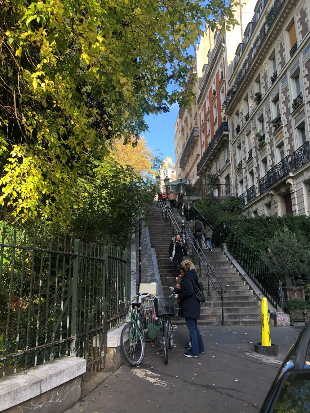 Montmartre trap.jpg