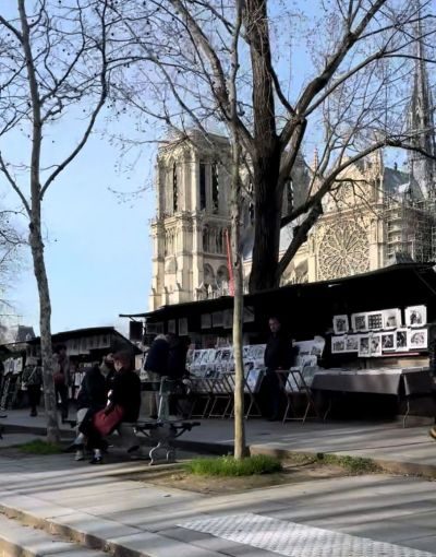 Notre Dame.jpg