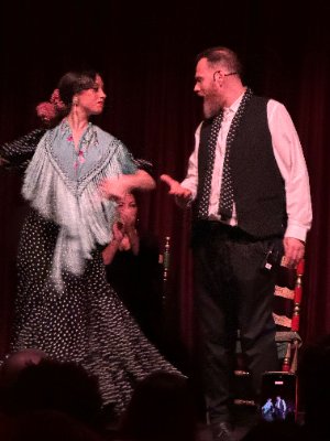 Flamenco.jpg