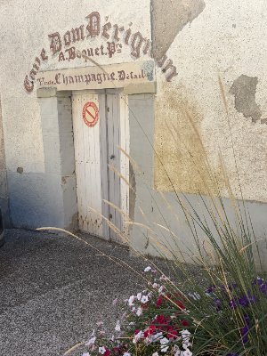 IMG_1761.JPG